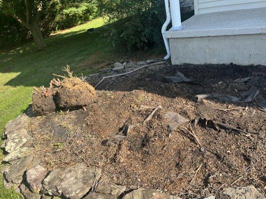 Diamond Landscaping & Tree Services