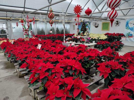 Pleasant Valley Greenhouses & Nursery