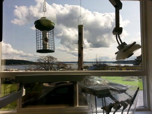 The view from the dentist's chair