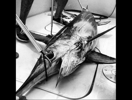 Double Threat Fishing Charters