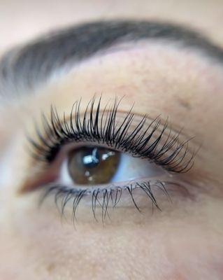Premium Keratin Lash Lift + Tint