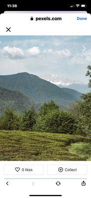 Adirondack Intuitive Reader