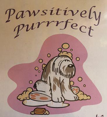 Pawsitively Purrrfect