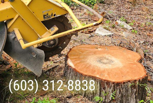 Prime Stump Removal