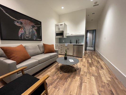 Living area and kitchenette