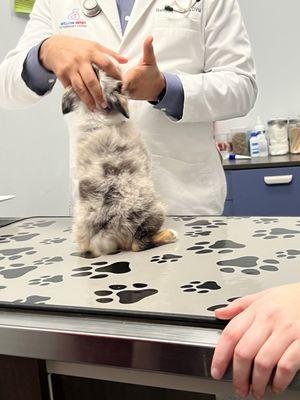 Willow Bend Veterinary Clinic