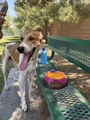 Fresh water on a hot day!