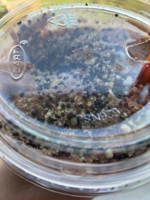 Caramel chocolate cold brew