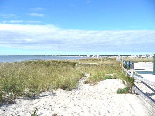 Maine Shoreline Realty