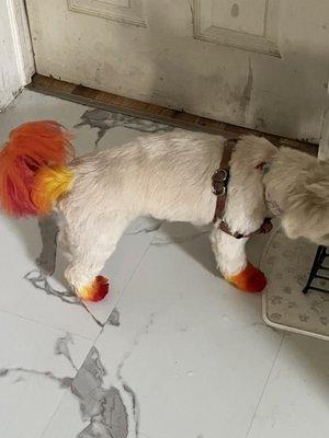 Bailey’s Daily Pet Care