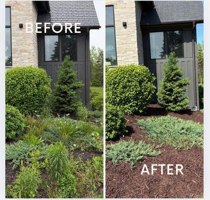 Hammer Time Landscaping