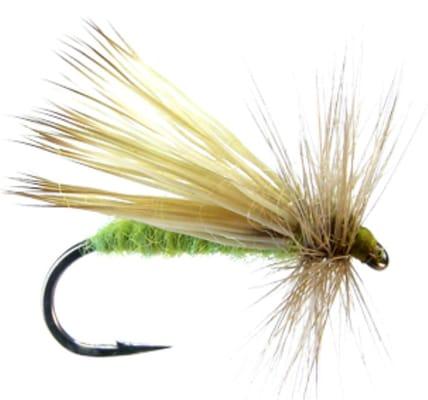 White Fly Outfitters