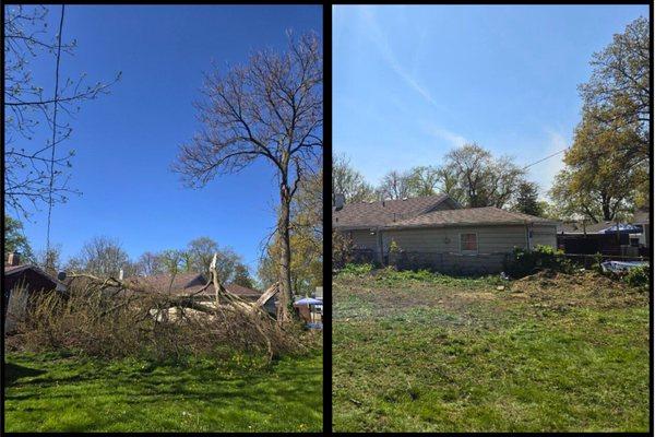 Arbor Care Piekarski & Sons, Inc