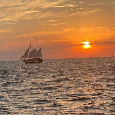 East Coast Psychological Services