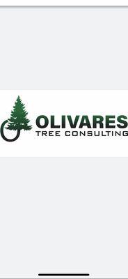 Olivares Tree Consulting