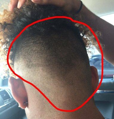 So Sharp Campus Cutz & Stylez