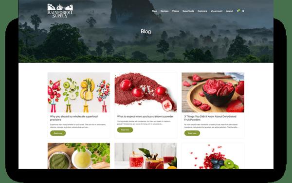 IBIS Studio // Digital Marketing Agency