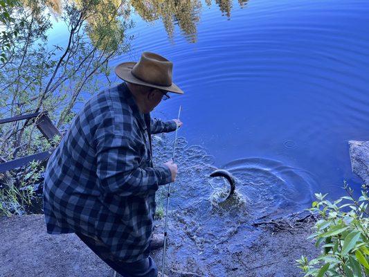Sawmill Pond fishing