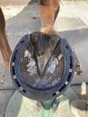 Balanced shoe fitting