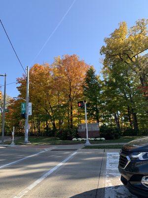 Michigan State University campus