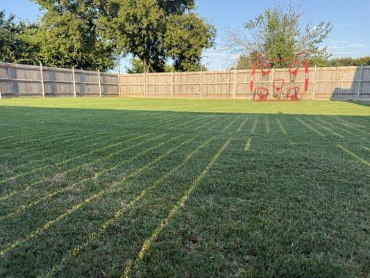 Tapia  Solution Landscaping