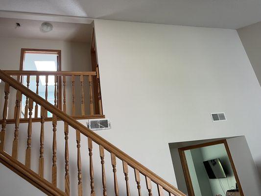Setzer's Pro Painting
