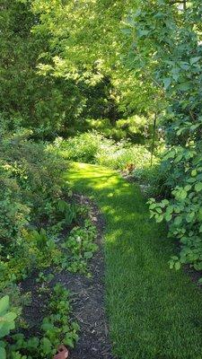 4 Seasons Landscape and Design