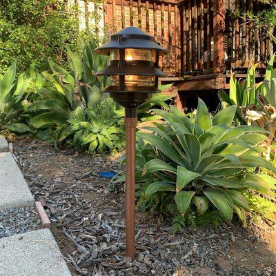 Snake Master Electrician