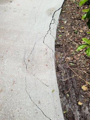 Palm Bay Septic