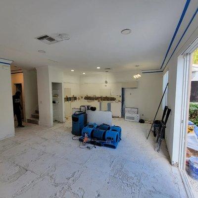 Elite Alliance Group