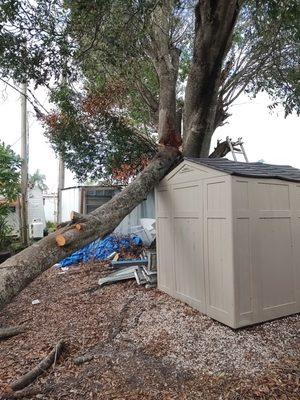 Quick Response Tree Service