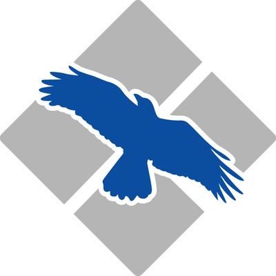 Blue Raven Executive Protection Services