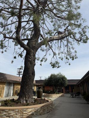 The Grove Post-Acute Care Center