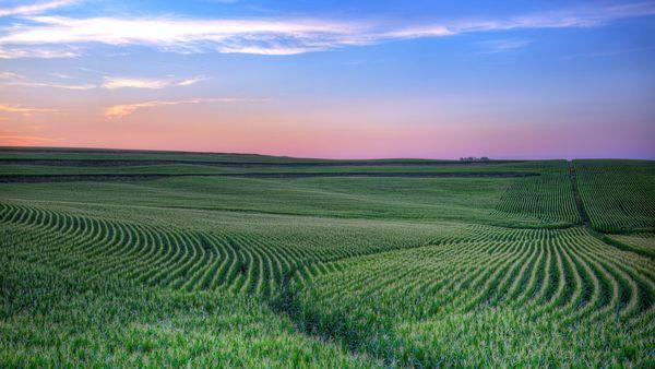 Some of us can see the beauty in this picture. Others will focus on the darkness.