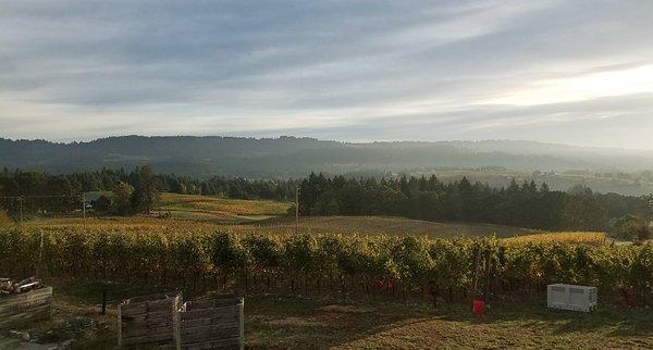 Seven Bridges Winery