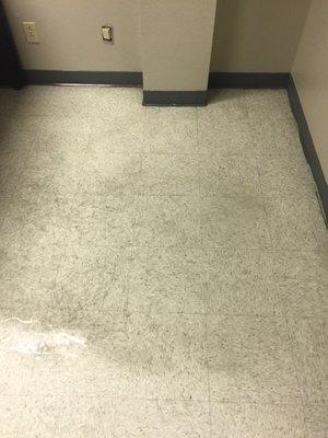 Flores Commercial Cleaning Services