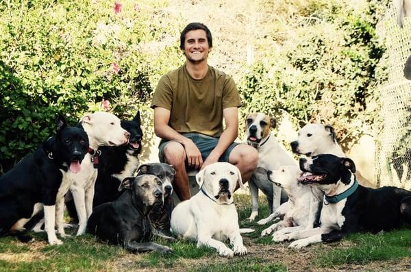 State Of Mind Dog Psychology