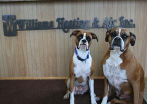 Williams Heating & Air Inc