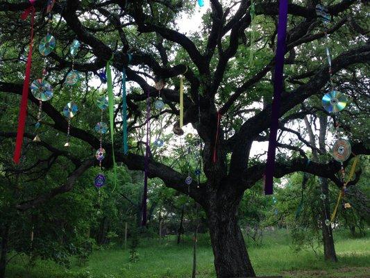 Parkside Community School