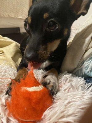 Marshall Middle Magnet School