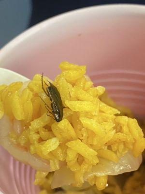 roach in my shrimp fried rice and chicken wings