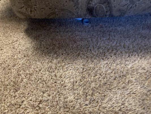 Olen's Carpet & Upholstery Cleaning