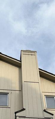 Before: woodpecker hole