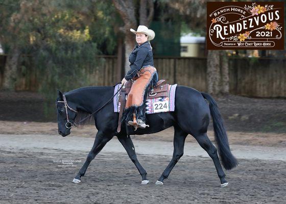 Jerome Performance Horses