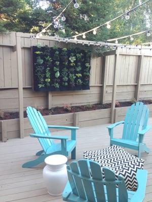 This is the 'living wall' Laurie from Seasonal Celebrations designed, delivered, installed and planted for our backyard.