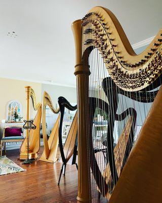 Bay Area Harp and Music Academy