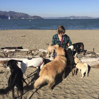 Wroggie Doggie Walks