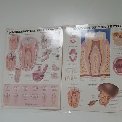 Noemi Taguinod Dental