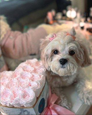 Do you think I'm cute ??? @_stefania_petridi_ thank you !!!!