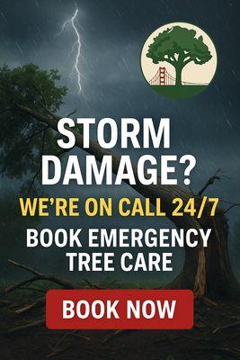 BridgeWood Tree Care